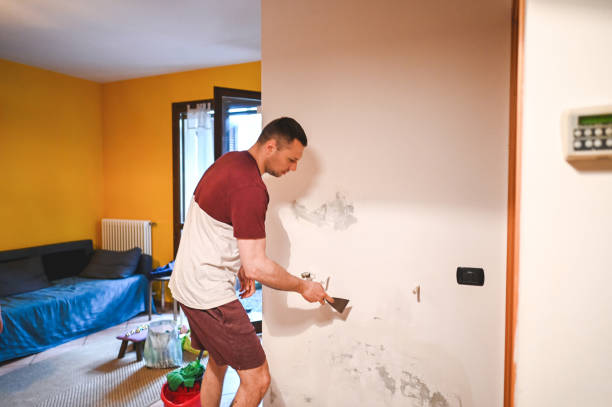 Best HVAC Mold Remediation in Elmwood, IL